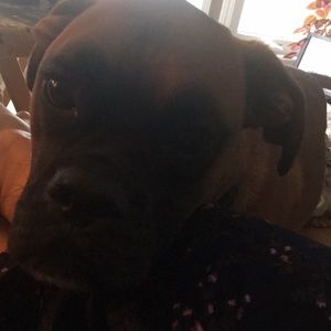 Meet your Posher, Meghann